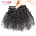 Brazilian Afro Kinky Curly Clip in Hair Extensions